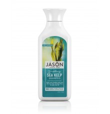Jason Smoothing Sea Kelp Shampoo for Dry & Frizzy Hair 473ml