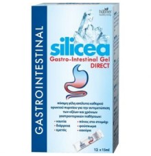 Hubner Silicea Gastro Intestinal Gel 12x15ml