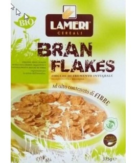 ΜΠΡΑΝ ΦΛΕΙΚΣ ΚΟΥΤΙ (ΧΩΡΙΣ ΖΑΧΑΡH) 375 GRAM